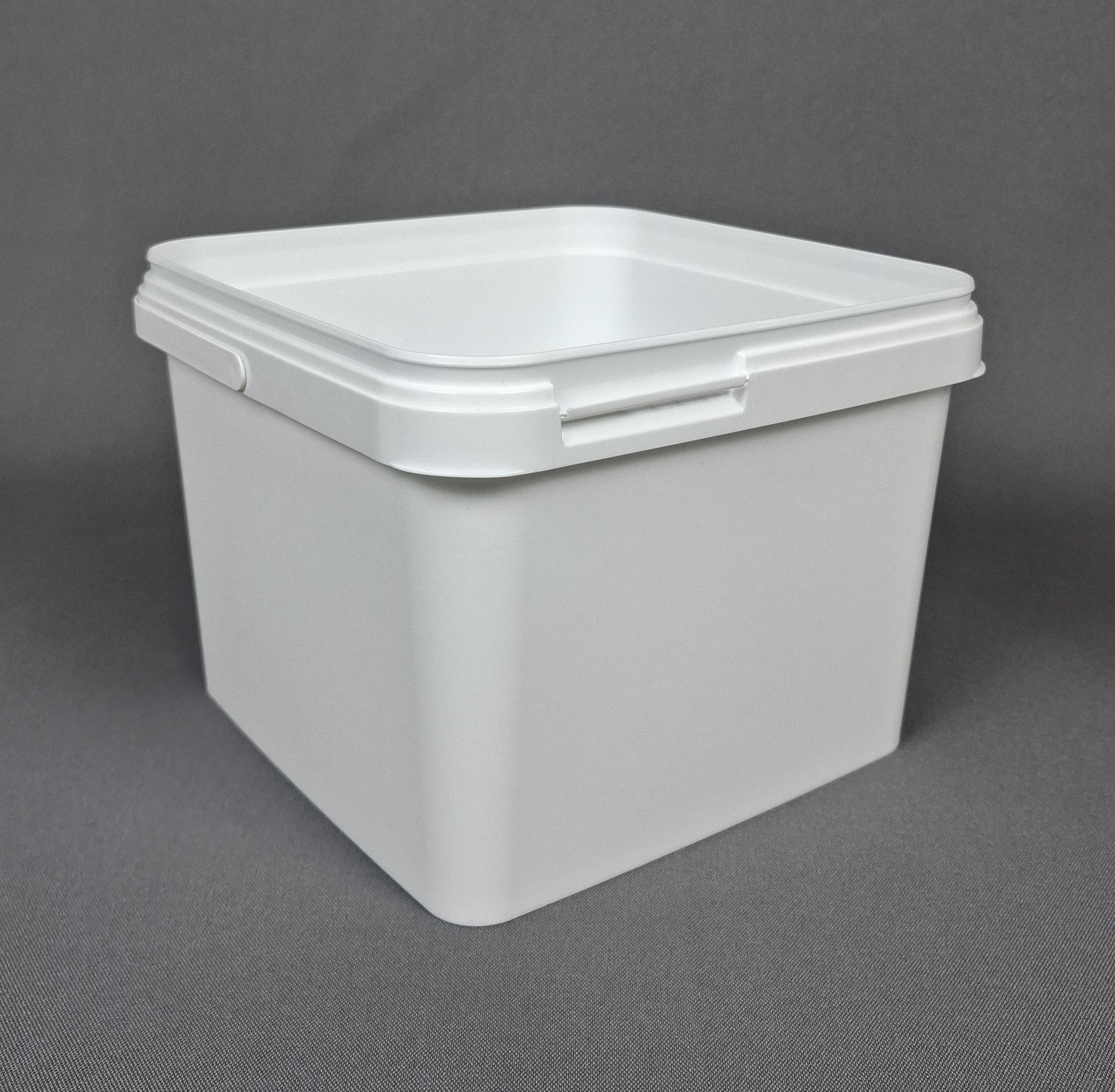 20251119_EQ036_quadrat