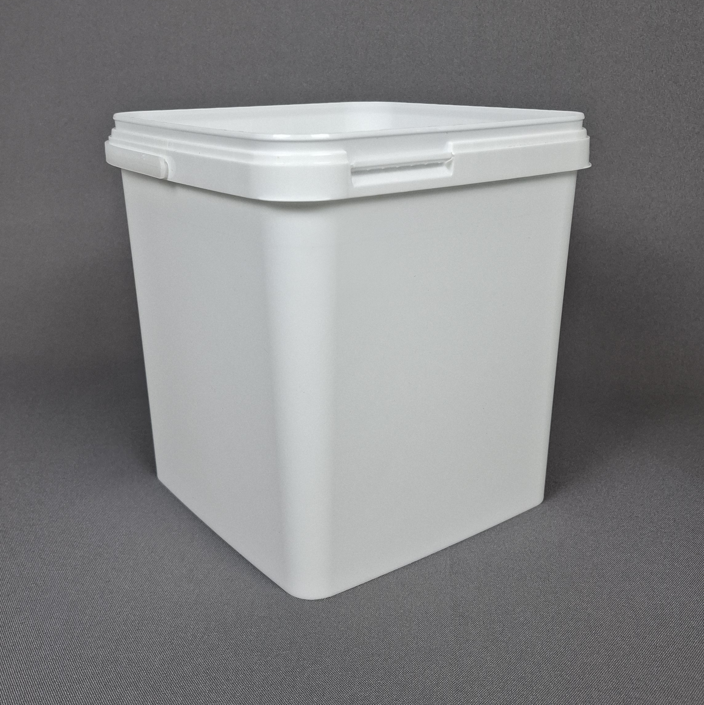 20251119_EQ056_quadrat